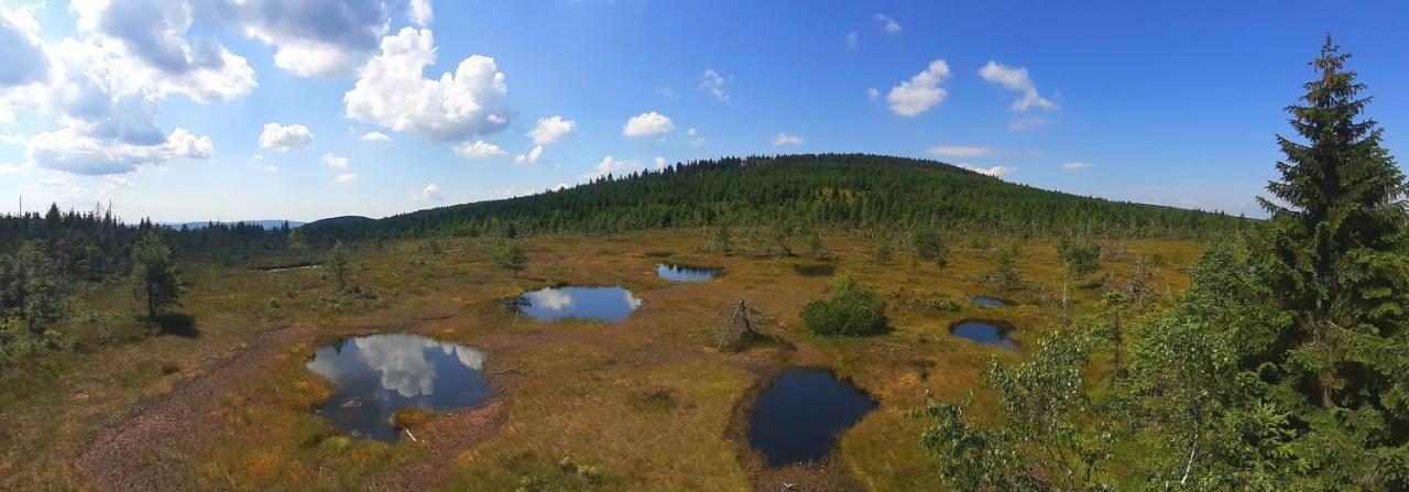 Penzion Jizerska Malina Бедржихов Экстерьер фото